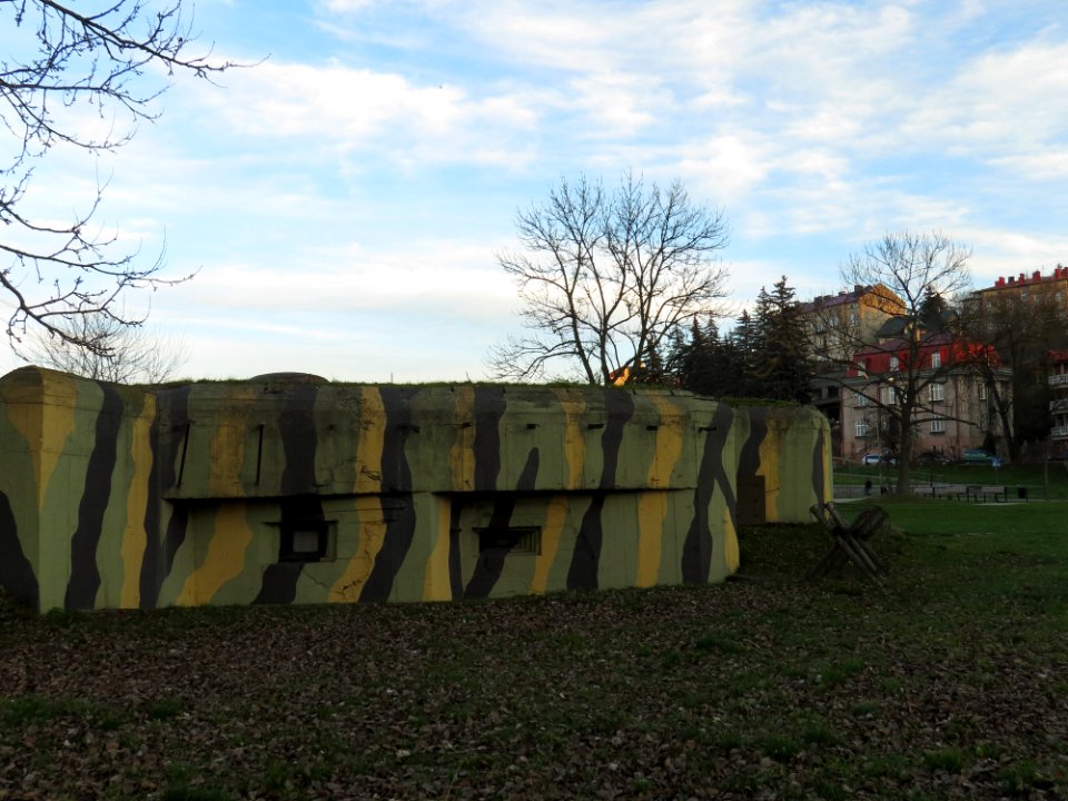 Caponier 8813 in Przemyśl