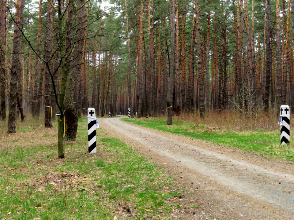 Bykivnia Graves27
