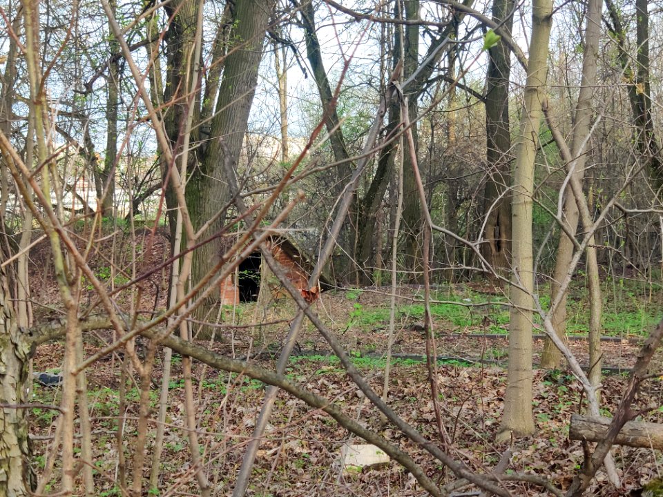 Cellar in Vinogradovo - 2021-05-02 - p2