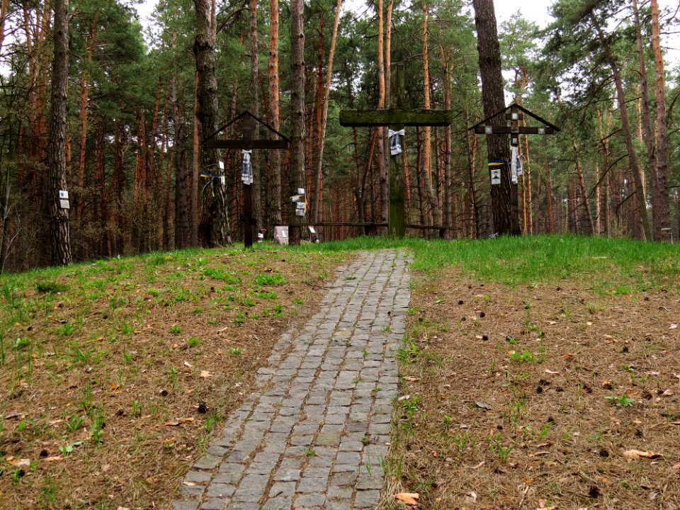Bykivnia Graves21