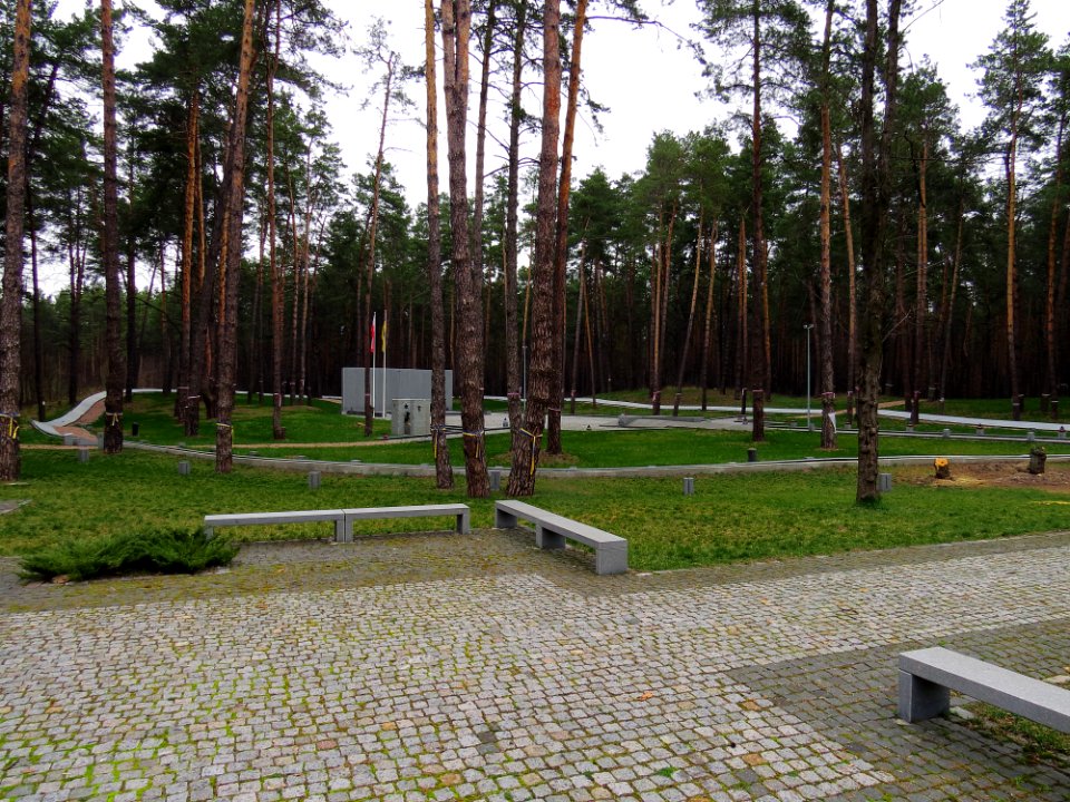 Bykivnia Graves2