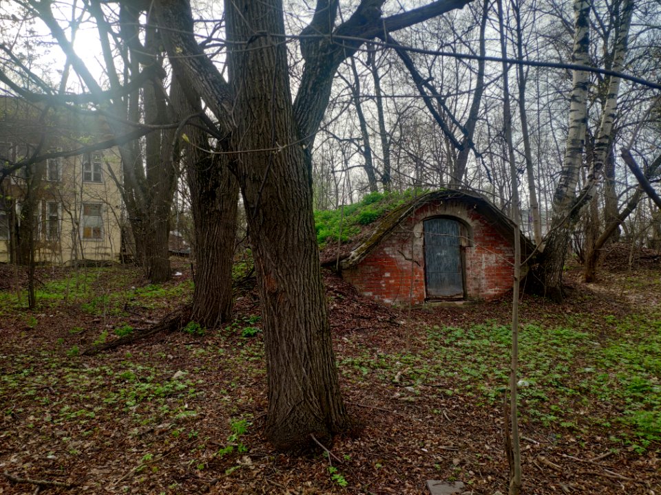 Cellar in Vinogradovo - 2021-05-02 - p1