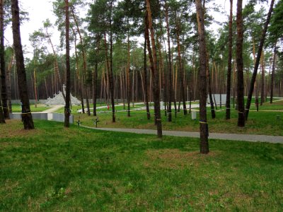 Bykivnia Graves20