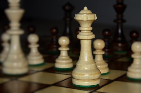 Queen pawn knight