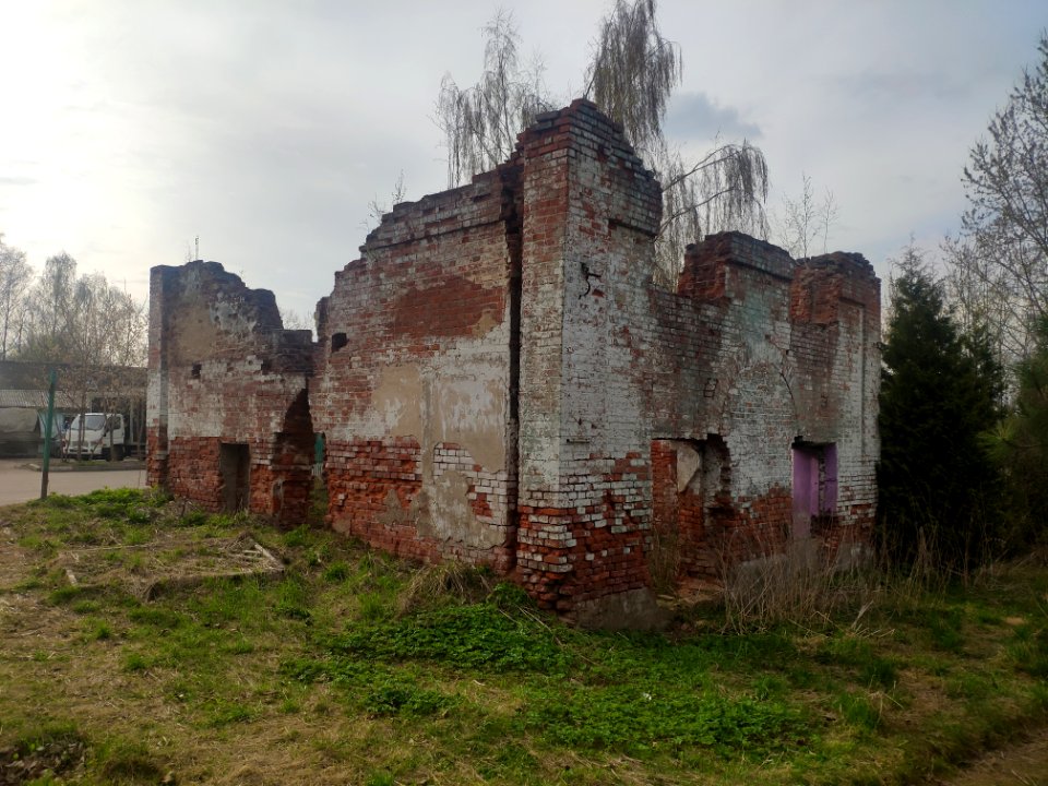 Carriage house in Vinogradovo - 2021-05-02 - p7