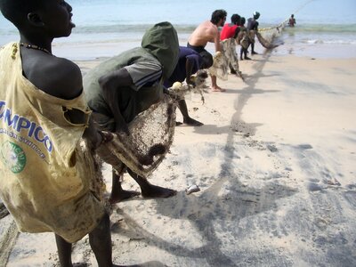 Senegal fishermen fish