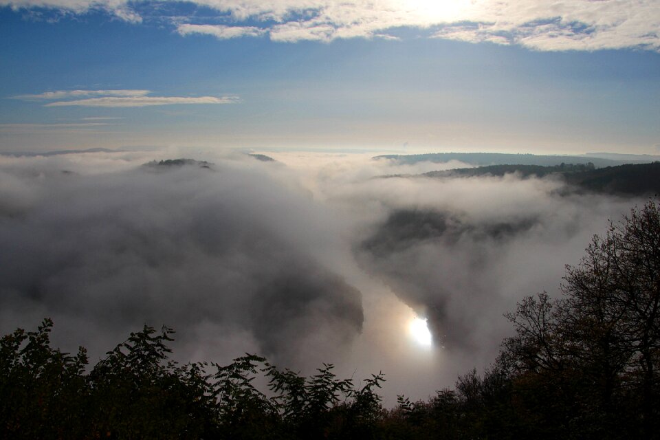 Cloef foresight nature