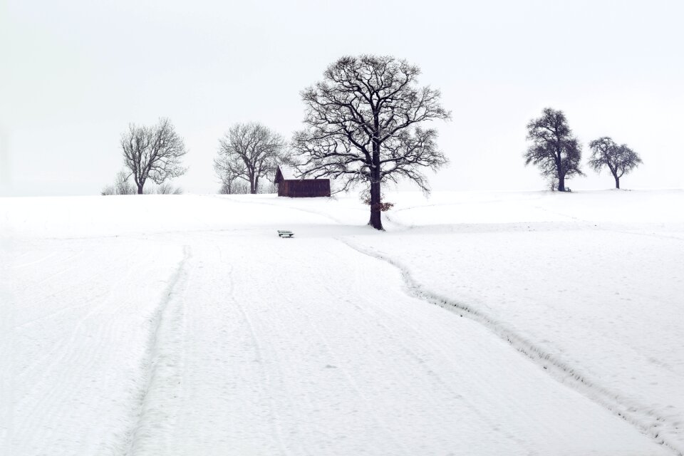 Wintry cold winter cold