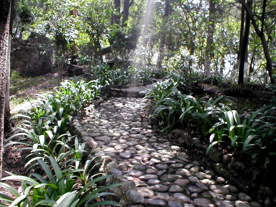 Empedrado del Calvario de Toluca