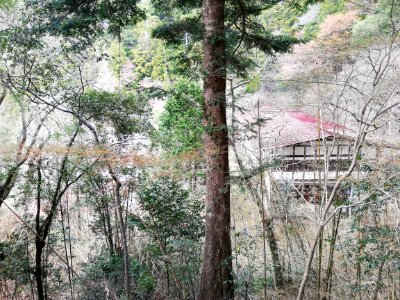 Engonsan Hōrai-ji Temple 20210320 01