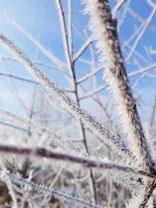 Winter sky snow