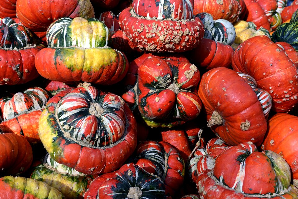 Autumn thanksgiving decoration