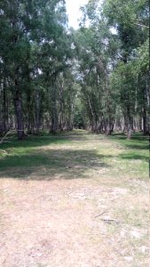 Espace-Rambouillet-13-06-2020