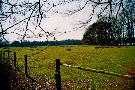 Erdfallsee Hopsten Pasture