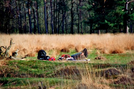 Erdfallsee Hopsten Visitors
