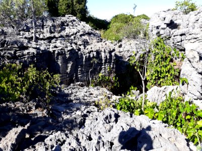Entrada da caverna do Crote, Felipe Guerra (RN)