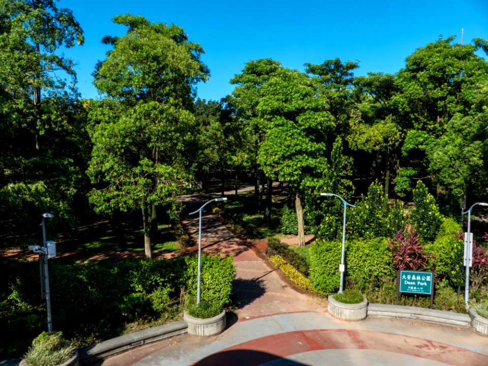 Daan Park No.8 Entrance and Exit Birdview 20140727