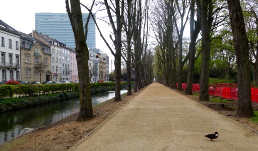 Düsseldorf, Nördliche Düssel, Hofgarten, Blick auf den Jrönen Jong