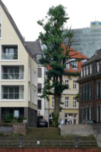 Düsseldorf, Blick vom Alten Hafen zur Hafenstraße, 2021