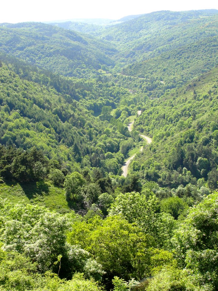 Depuis château Couzan