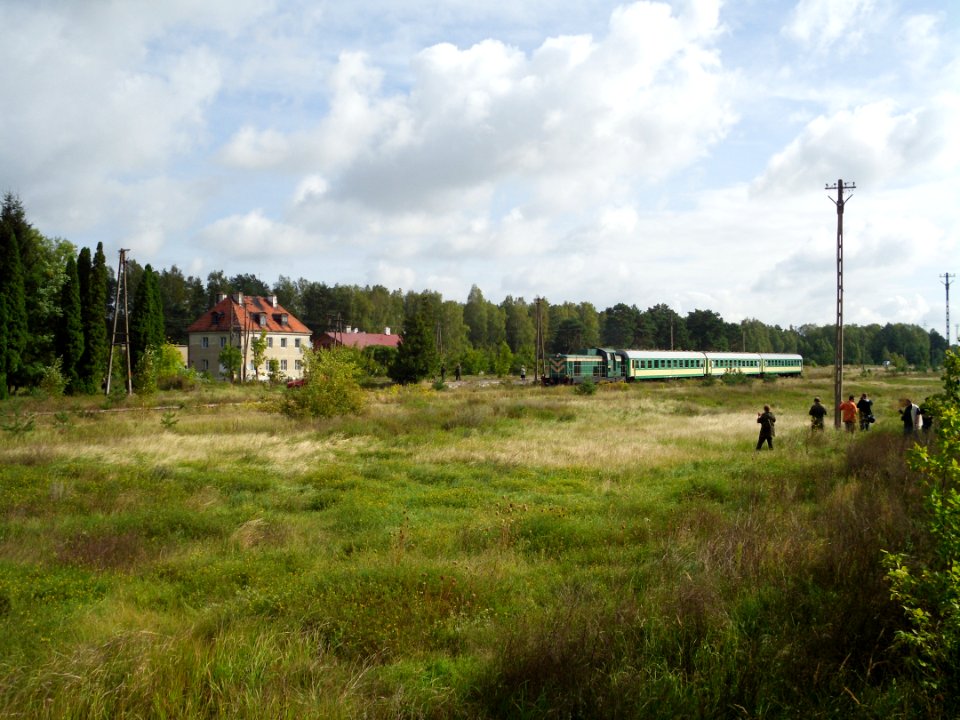 Czerwony Bor tourist train