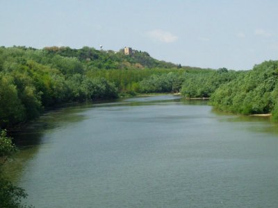 Danube by Erdut