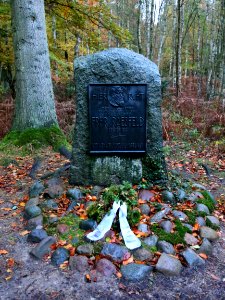 Darsswald Grab Ferdinand von Raesfeld 06