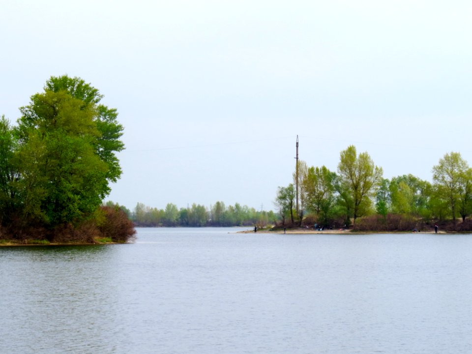 Desenka Domanya1