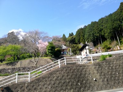 Darumasan Daitsū-ji Temple 20210320