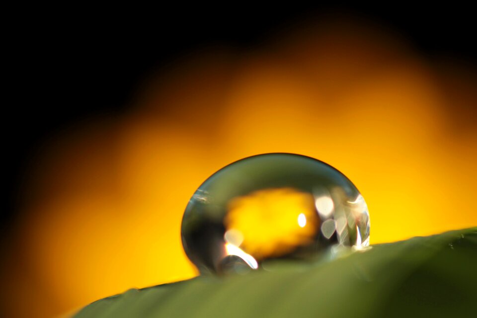 Drop of water drops of water nature