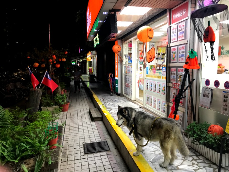 Cthousing Yanshou Jianan Store in Halloween 20171021