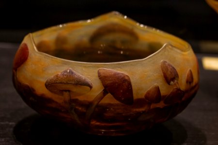 Coupe Champignons