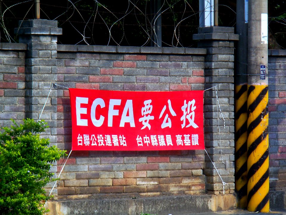 ECFA Referendum Banner of TSU 20100327