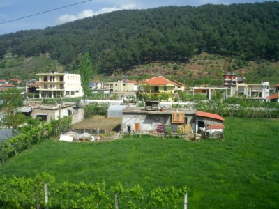 Elbasan suburb2