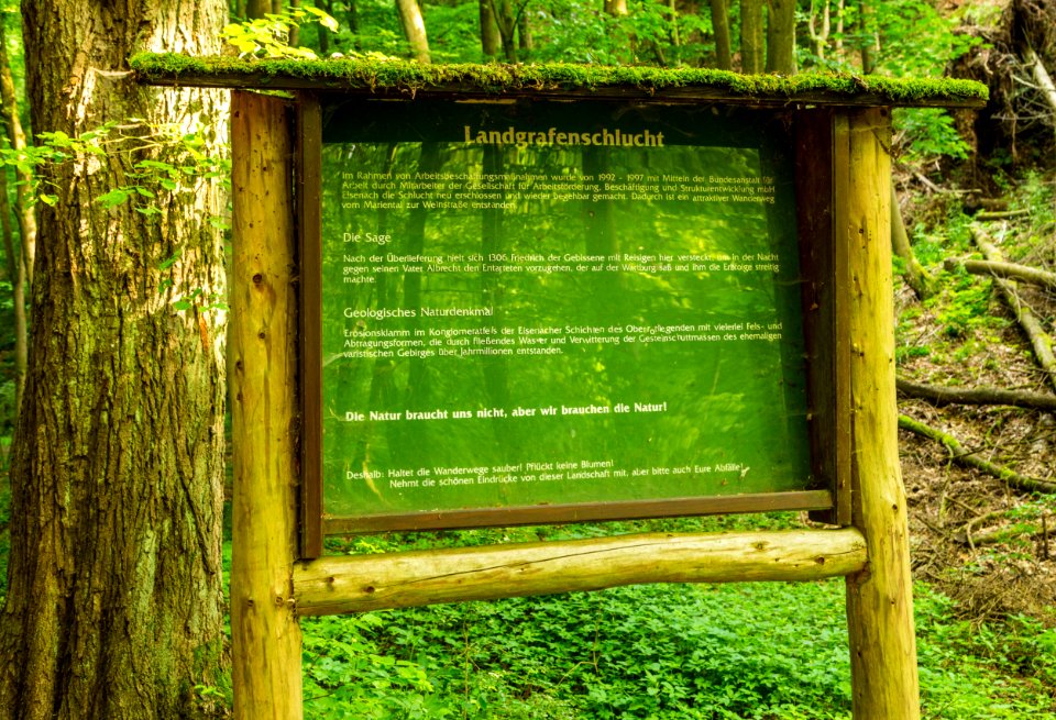 Eisenach Landgrafenschlucht 002