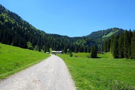 Sun summer alpine