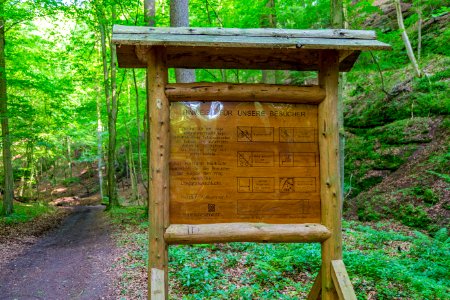 Eisenach Landgrafenschlucht 017