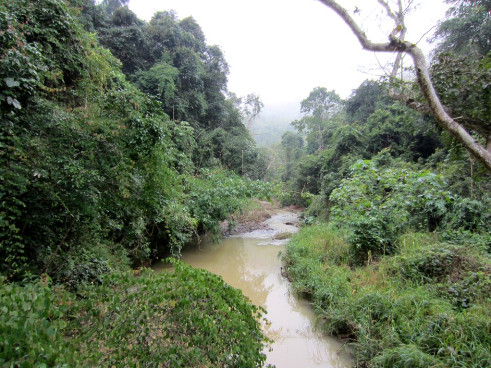 Elephantvalley-river