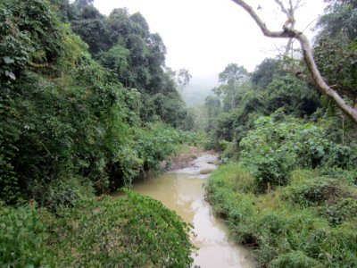 Elephantvalley-river