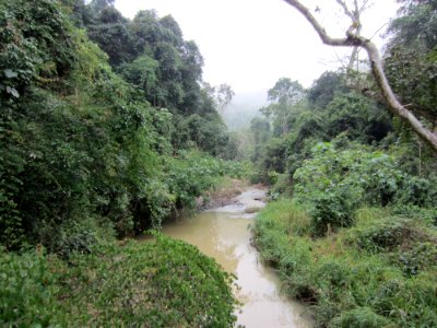 Elephantvalley-river photo