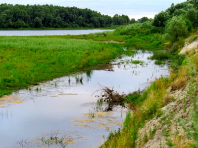 Desna near Pokal Rozhivsky4