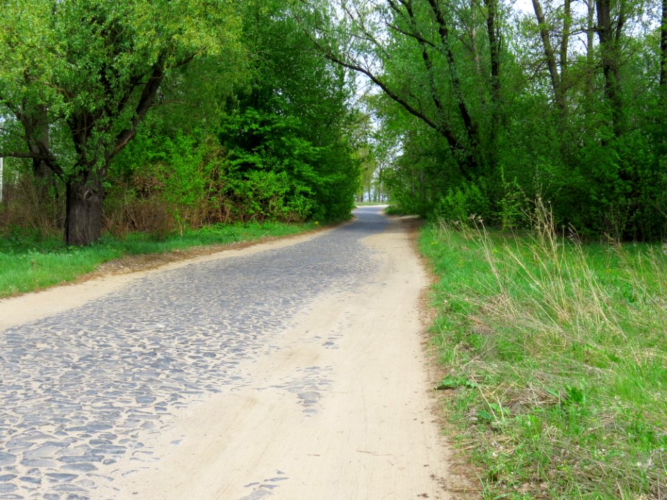 Desna road near Kiev