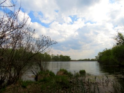 Desenka12