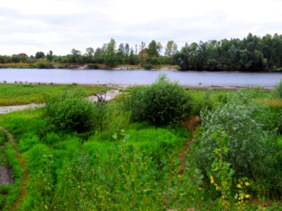 Desna near Pokal Rozhivsky3