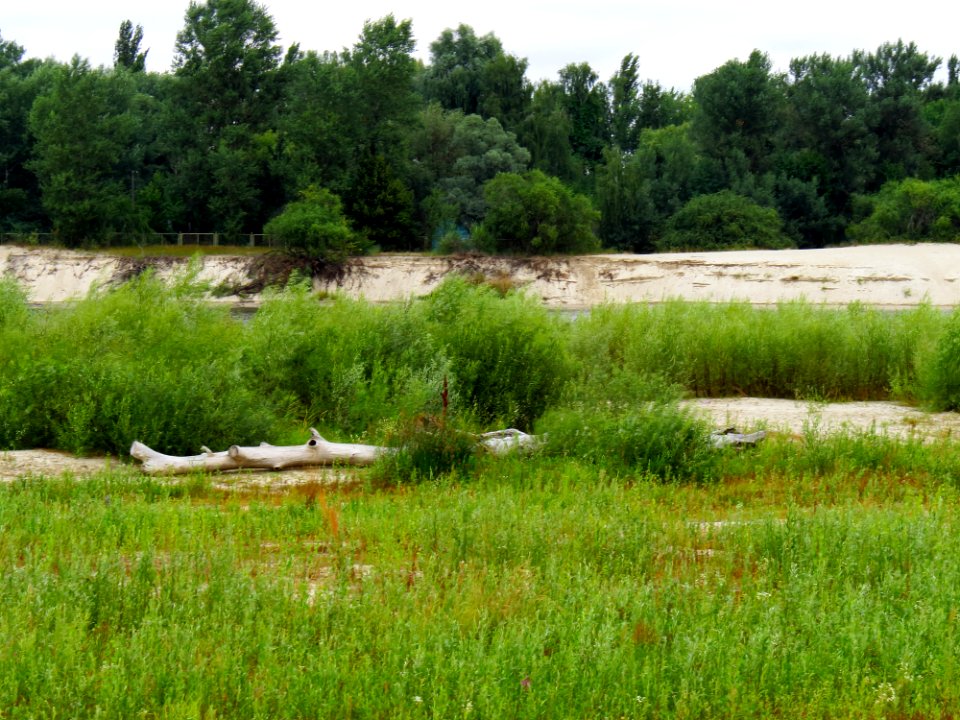 Desna near Pokal Rozhivsky6