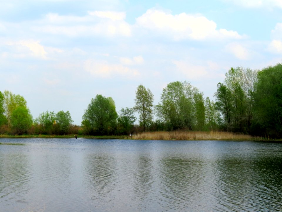 Desenka10
