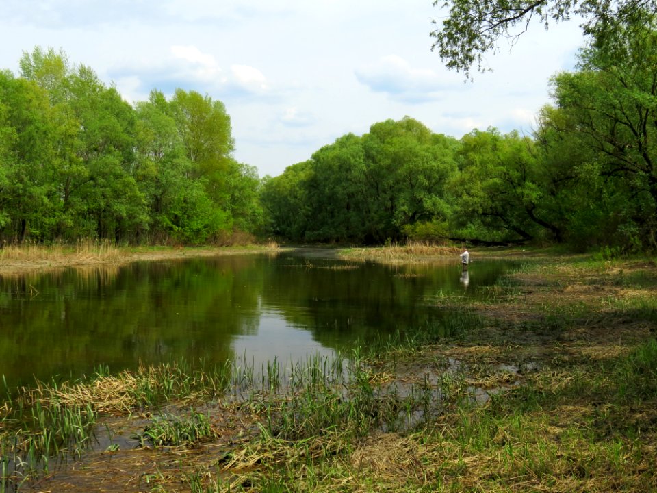 Desna mouth zatoka3