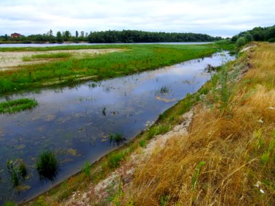 Desna near Pokal Rozhivsky2