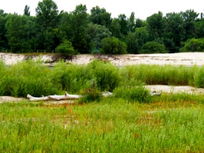 Desna near Pokal Rozhivsky7