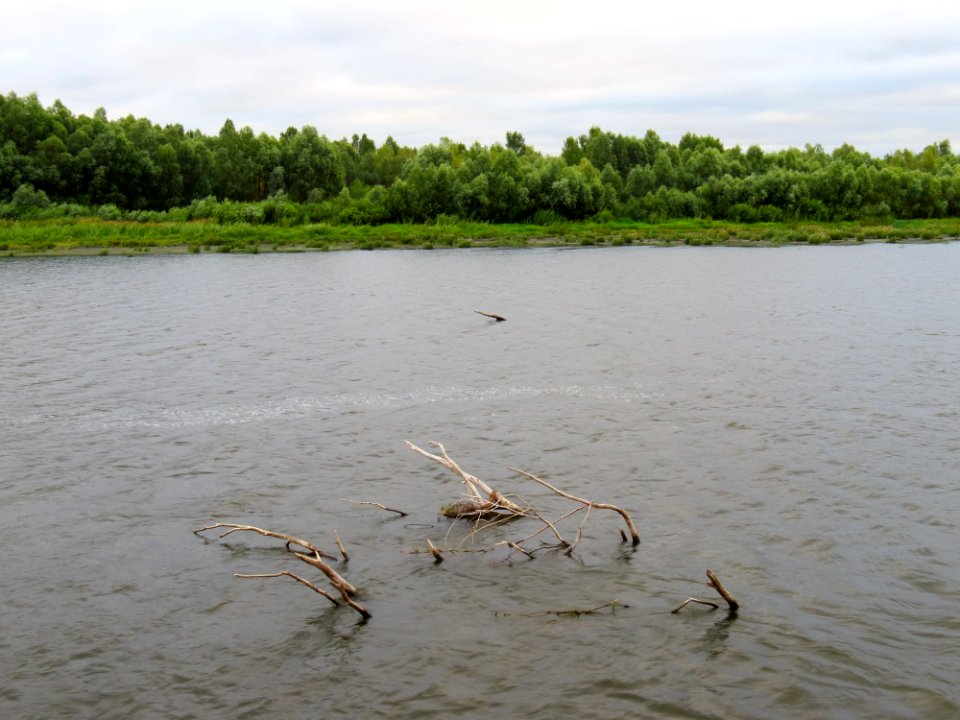 Desna near Koloden lake2